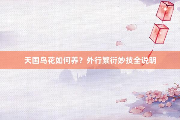 天国鸟花如何养？外行繁衍妙技全说明