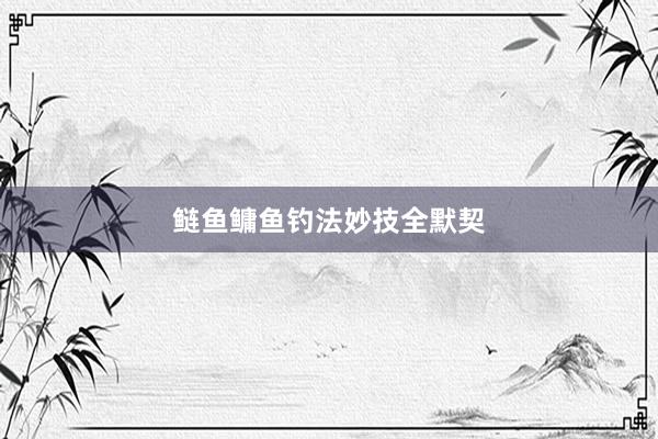 鲢鱼鳙鱼钓法妙技全默契